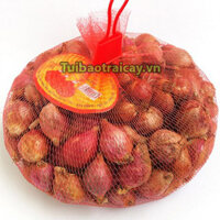 Túi lưới nhựa đựng hoa quả màu đỏ