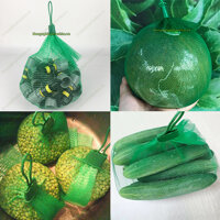 Túi lưới nhựa màu xanh