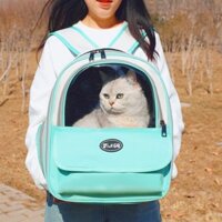 Túi Mèo Đi Chơi Thú Cưng Ba Lô Tiện Lợi Túi Xách Chó Mèo Thoáng Khí Bốn Mùa Đa Năng Túi Thú Cưng Cung Cấp k