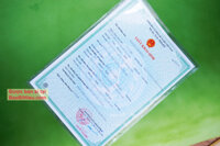 Túi nhựa dẻo PVC đựng giấy tờ khổ A4 giấy khai sinh, giấy kết hôn, hợp đồng... bamarau - Loại có nắp đậy B167