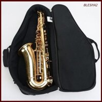 Túi Sax Gig Oxford Dày Dây Đeo Vai Túi Di Động Alto Saxophone