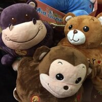 Túi sưởi chân hình thú