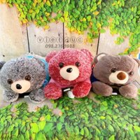 Túi sưởi gấu bông