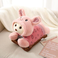 Túi sưởi hình gấu