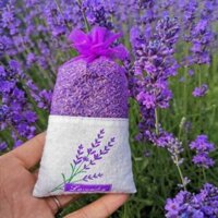 TÚI THƠM ĐỂ PHÒNG NỤ HOA KHÔ OẢI HƯƠNG LAVENDER, MÙI THƠM NHẸ DỊU CHO CĂN PHÒNG CỦA BẠN