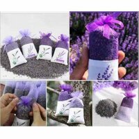 Túi Thơm Hoa Lavender Hoa Oải Hương