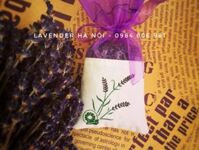 Túi thơm Lavender 15g