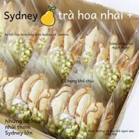 Túi Trà Kết Hợp Ngâm Hoa Nhài Khô