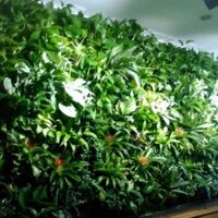 Túi trồng cây treo tường 25 hốc, Túi làm vườn tường trang trí, Túi trồng hoa, rau, cây cảnh