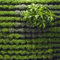 Túi trồng cây treo tường 64 hốc, Túi làm vườn tường trang trí, Túi trồng hoa, rau, cây cảnh