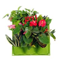 Túi trồng cây treo tường 9 hốc, Túi làm vườn tường trang trí, Túi trồng hoa, rau, cây cảnh