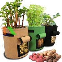 Túi trồng khoai tây chuyên dụng 30x35, Túi trồng cà rốt, Túi trồng khoai lang, Túi vải trồng khoai tây