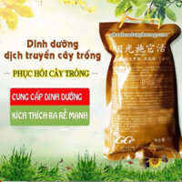 Túi truyền dịch cây, phục hồi cây suy yếu