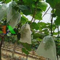 Túi Vải bảo vệ trái cây FFB.TX 30*40 cm, Túi bọc Nho, Bưởi chống Ong Ruồi vàng côn trùng
