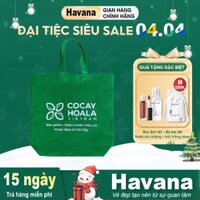 Túi Vải Đựng Đồ COCAYHOALA VIETNAM không dệt đa năng - Túi vải đựng đồ, thân thiện với môi trường