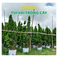 TÚI VẢI TRỒNG CÂY CROCO SIZE 60cm x 45cm ( SET 10 TÚI ) - "GIÁ XƯỞNG"