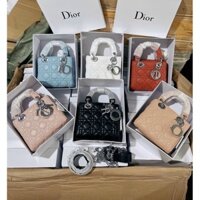 Túi xách Dior Lady 3 Ô mini Tag Bạc Super Fullbox