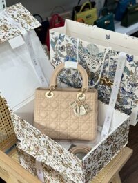 Túi Xách Dior Lady Nữ Màu Be Replica 11 Cao Cấp 24cm