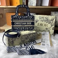 Túi xách Dior mini tote
