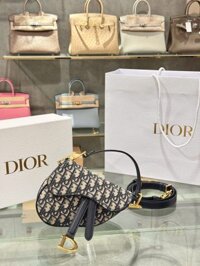 Túi Xách Dior Saddle Siêu Cấp Hoạ Tiết Dior Khoá Vàng 21x18x5cm