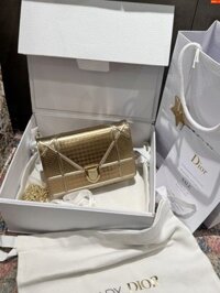 Túi Xách Dior Woc Màu Vàng Ánh Kim Siêu Cấp 19cm