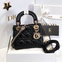 Túi xách dior