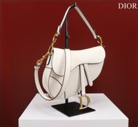 Túi Xách Hàng Hiệu Dior Saddle Yên Ngựa Nữ Màu Đen 25x20x6.5cm