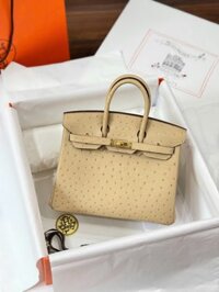 Túi Xách Hermes Birkin Cận Auth Da Đà Điểu Màu Be Khoá Vàng 25cm
