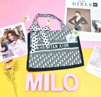 Túi xách họa tiết Dior thổ cẩm (màu đen)