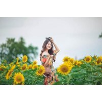 Túi xách mây tre đan 01