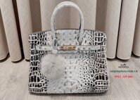 Túi xách nữ cao cấp Hermes Birkin H18321 vân da cá sấu