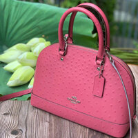 Túi Xách Nữ Coach Womens Mini Sierra Satchel Handbag Croc Pink Leather