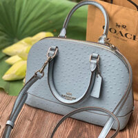Túi Xách Nữ Coach Womens Mini Sierra Satchel Handbag Croc Light Blue Leather