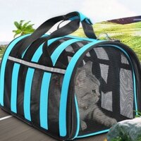Túi xách vận chuyển chó mèo, túi lưới vận chuyển thú cưng tiện lợi
