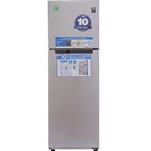 Tủ lạnh Samsung Inverter 255 lít RT25FARBDSA