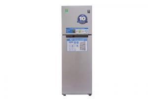 Tủ lạnh Samsung Inverter 255 lít RT25FARBDSA