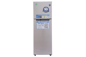 Tủ lạnh Samsung Inverter 255 lít RT25FARBDSA
