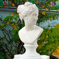 Tượng Bán Thân - Đầu Tượng Thạch Cao Nữ Thần Vệ Nữ Venus Cao 38cm