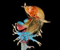 Tượng Cá Rồng Tài Lộc 17715341