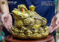 Tượng Cóc Ngậm Tiền Đế Cóc Bằng Đồng Nhiều Kích Cỡ