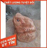 Tượng cóc ngậm tiền phong thủy 25cmxcao 22cm   xa xi