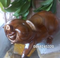 Tượng con lợn  heo phong thủy bằng gỗ bách xanh thơm nức kt 201210cm