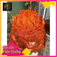 Tượng cụ cóc rồng gỗ thơmgỗ liền khối