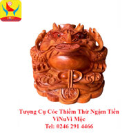 Tượng Cụ Cóc Thiềm Thừ Ngậm Tiền ViNuVi Mộc