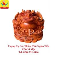 Tượng Cụ Cóc Thiềm Thừ Ngậm Tiền ViNuVi Mộc