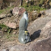 Tượng đại bàng nhân tạo VERGE LIMIT, Thuốc đuổi đại bàng không phai màu giống như thật, Bảo vệ kiểm soát chim giả chắc chắn Chim chống nước Decoy Hawk Courtyard