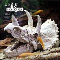 Tượng đầu khủng long 3 sừng đủ size trang trí bể cá