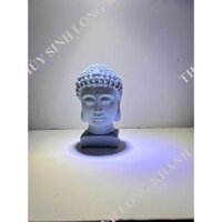 Tượng Đầu Phật (có đế) trang trí hồ thủy sinh - Phụ kiện THỦY SINH GIÁ RẺ AQUA GOLD