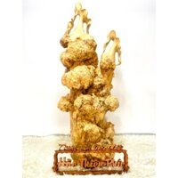 Tượng Gỗ Lục Bình - Nu Cà Phê