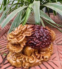 Tượng long quy phong thủy bằng gỗ bách thơm nức pu giả cổ kt 201212cm